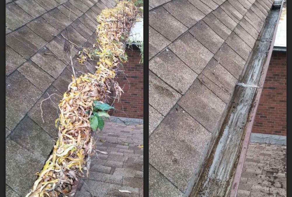 Expert Gutter Cleaning Services