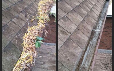 Why You Shouldn’t Wait Too Long To Get Your Gutters Cleaned