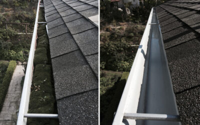 Common Causes of Gutter Clogs and How to Avoid Them