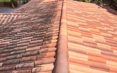 How Regular Roof Cleaning Can Lower Your Energy Bills