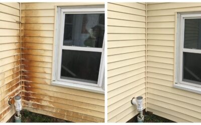 Protecting Your Home’s Exterior from Damage with Pressure Washing