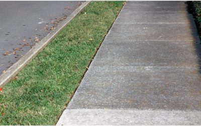 Show Your Driveway Some Love: Professional Concrete Cleaning From Tri-State Softwash