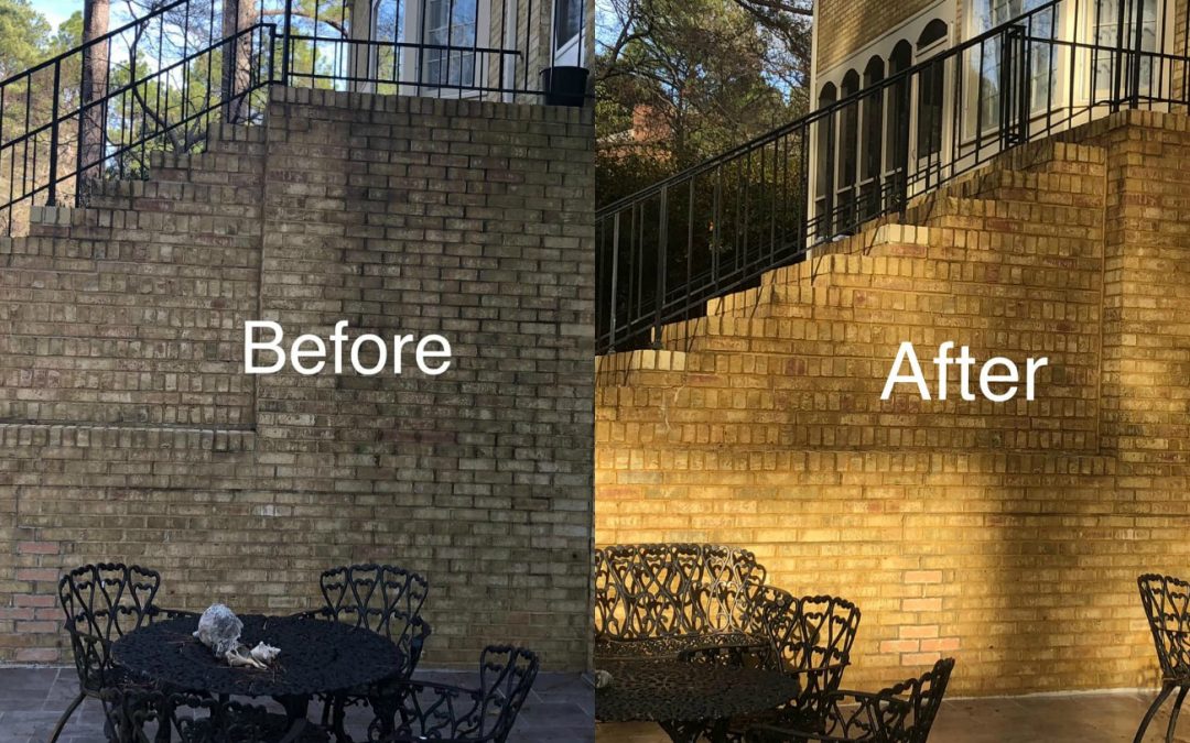 Top-Notch Pressure Washing Services in Martinsburg, WV: Experience the Magic of Tri-State Softwash